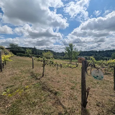 De Charme Renove Avec Terrasse Et Four A Pain, Proche De Langres Et De La Nature - Fr-1-611-28 Feriehus Cohons