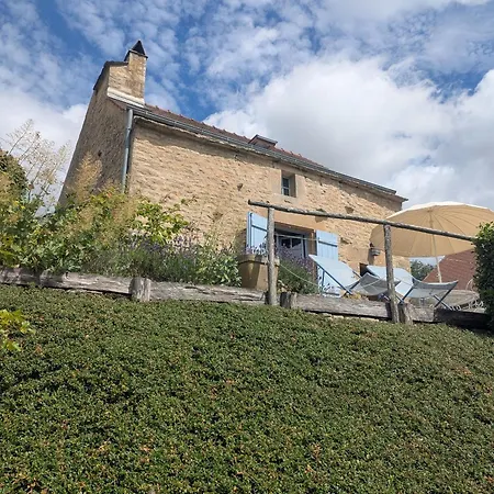 De Charme Renove Avec Terrasse Et Four A Pain, Proche De Langres Et De La Nature - Fr-1-611-28 Feriehus